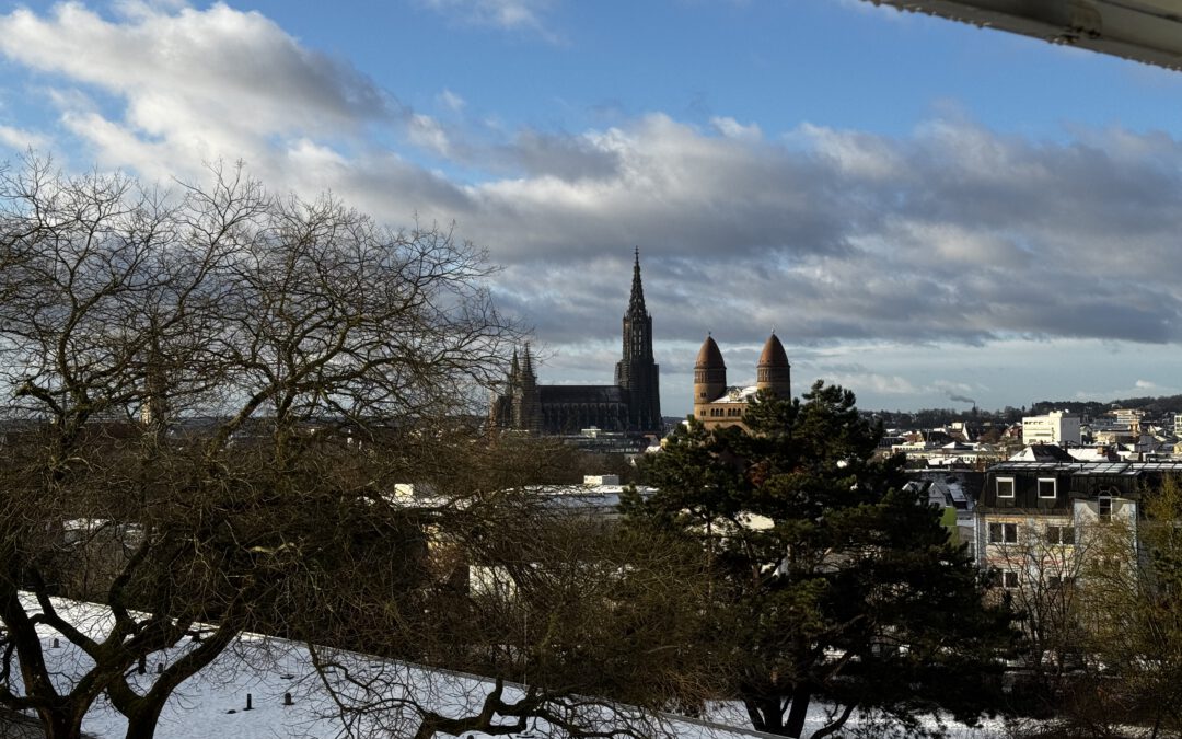 Vorlesung „Recht“